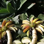 B&B Il Giardino Delle Meraviglie 4*