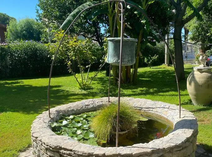 Il Giardino Delle Meraviglie